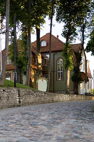Maja